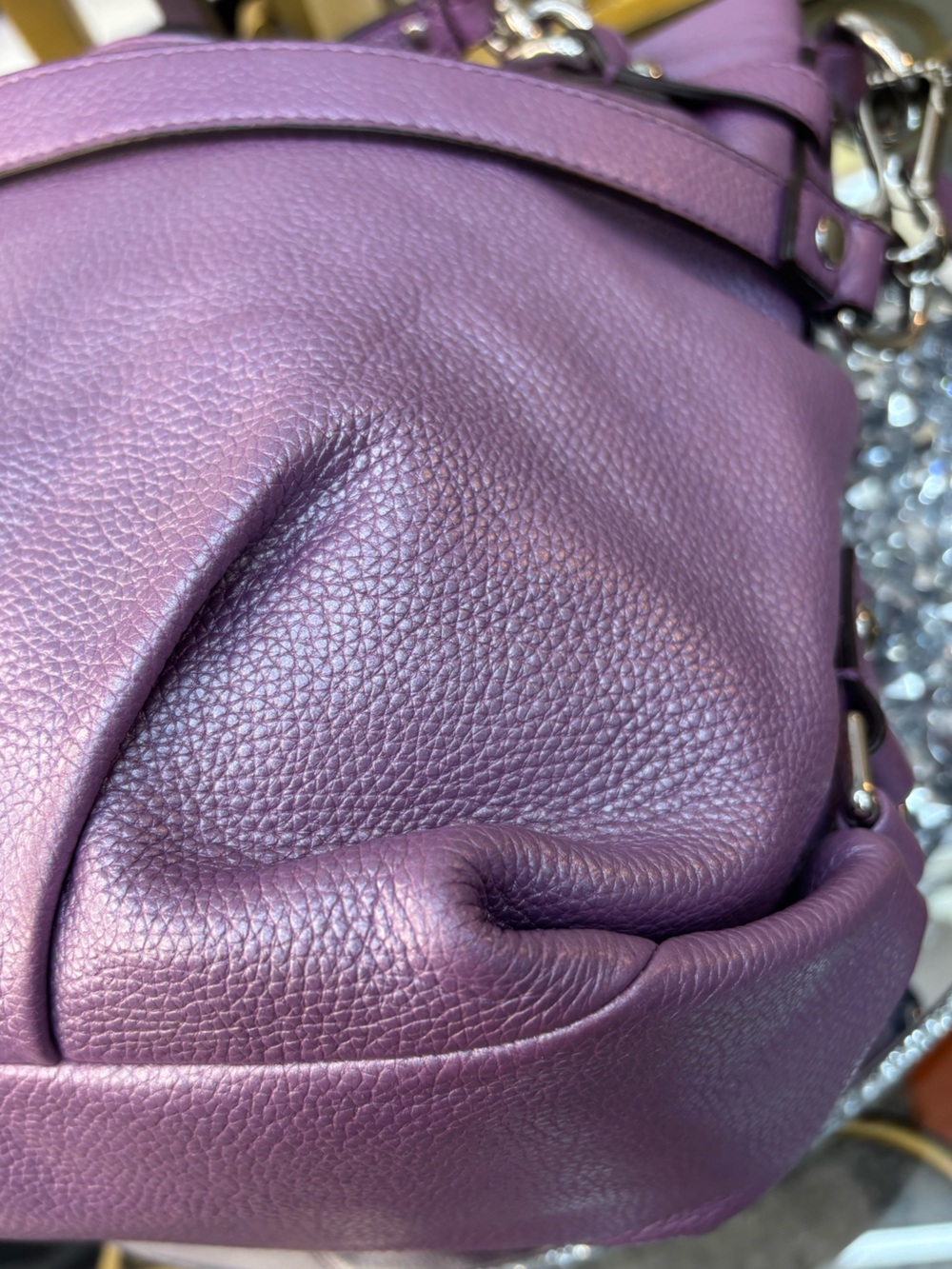 Coach 2011 Brooke Metallic Leather Hobo Bag EUC - Picture 12 of 14